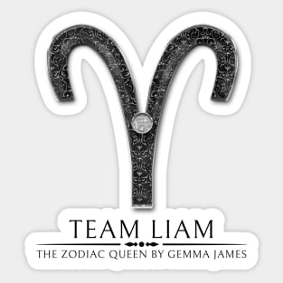 Team Liam Sticker